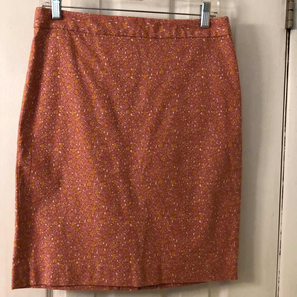 Talbots Skirt